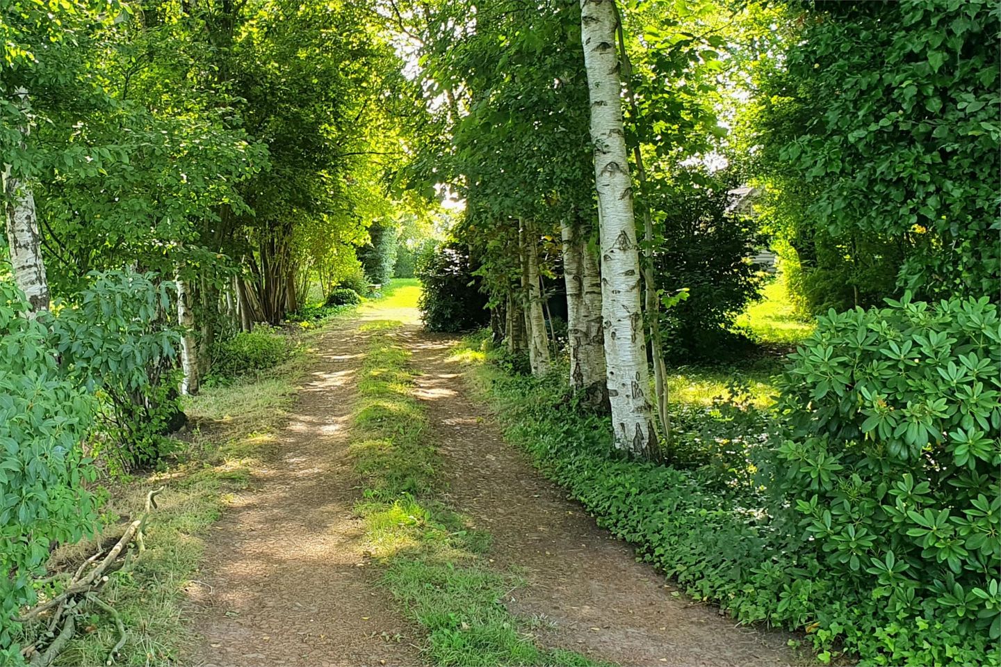 Photo 10 of Tolweg 54