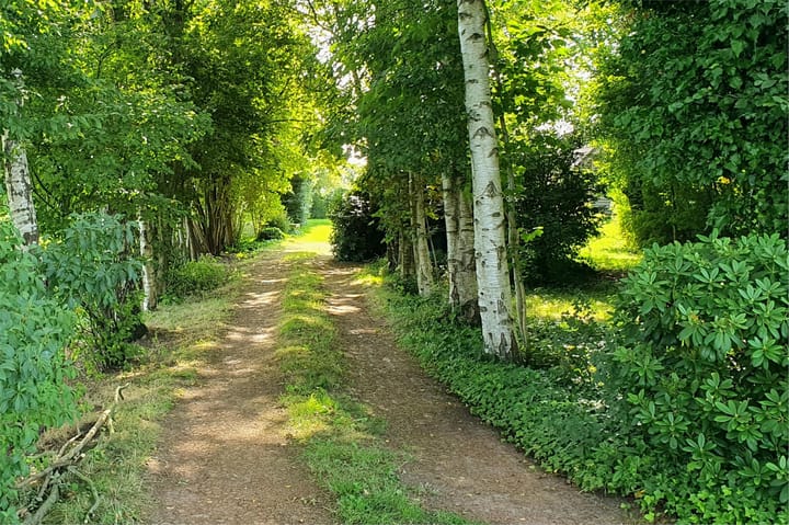 Photo 10 of Tolweg 54