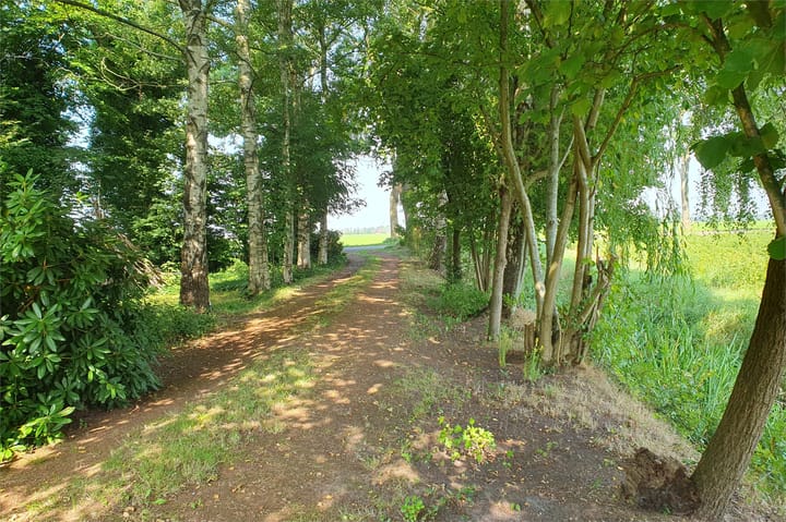 Photo 11 of Tolweg 54