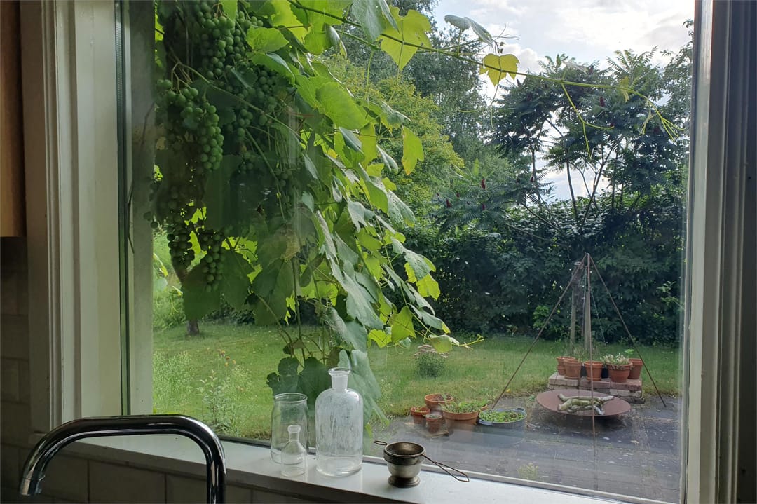 Photo 23 of Tolweg 54