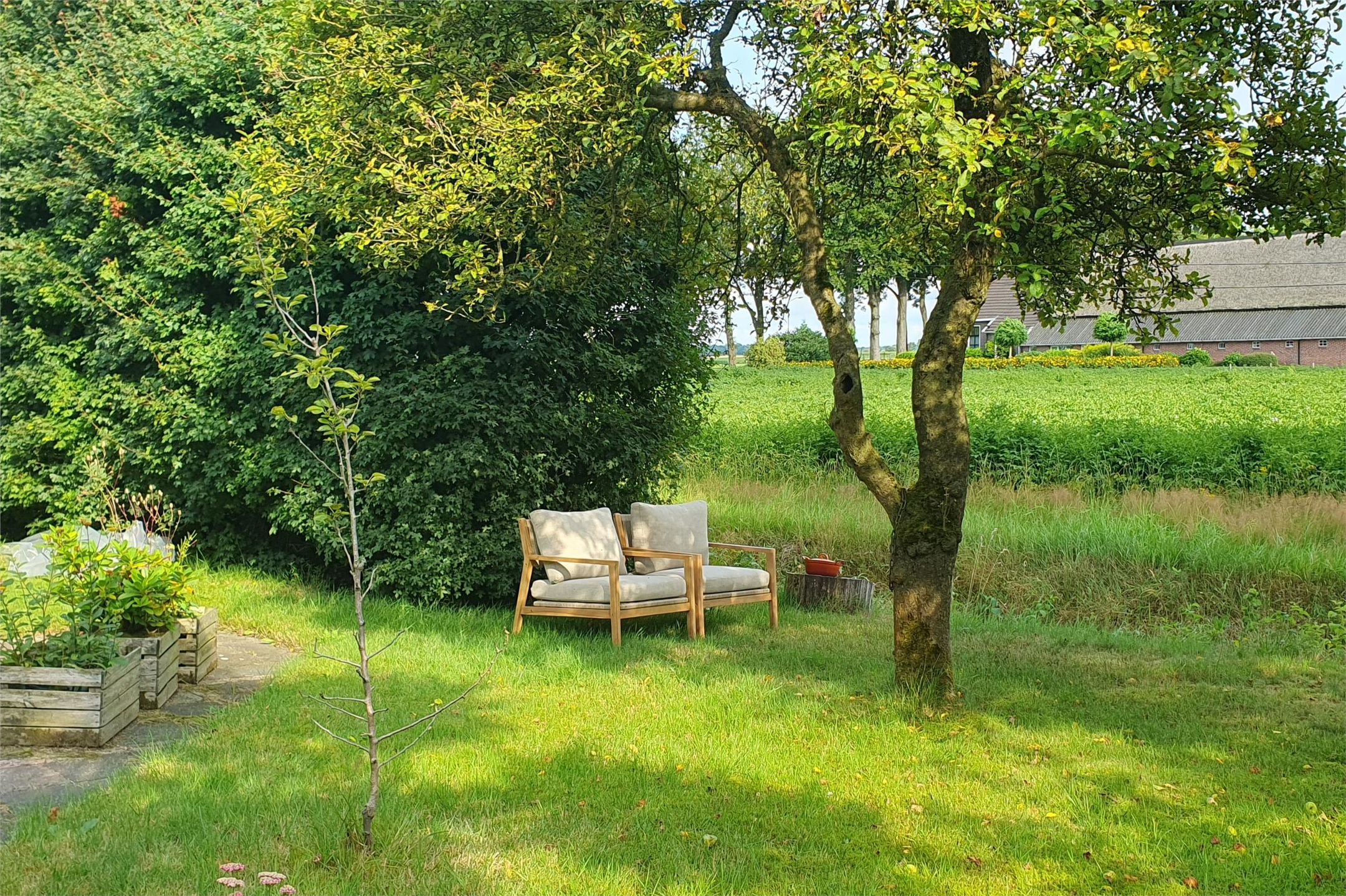 Photo 48 of Tolweg 54