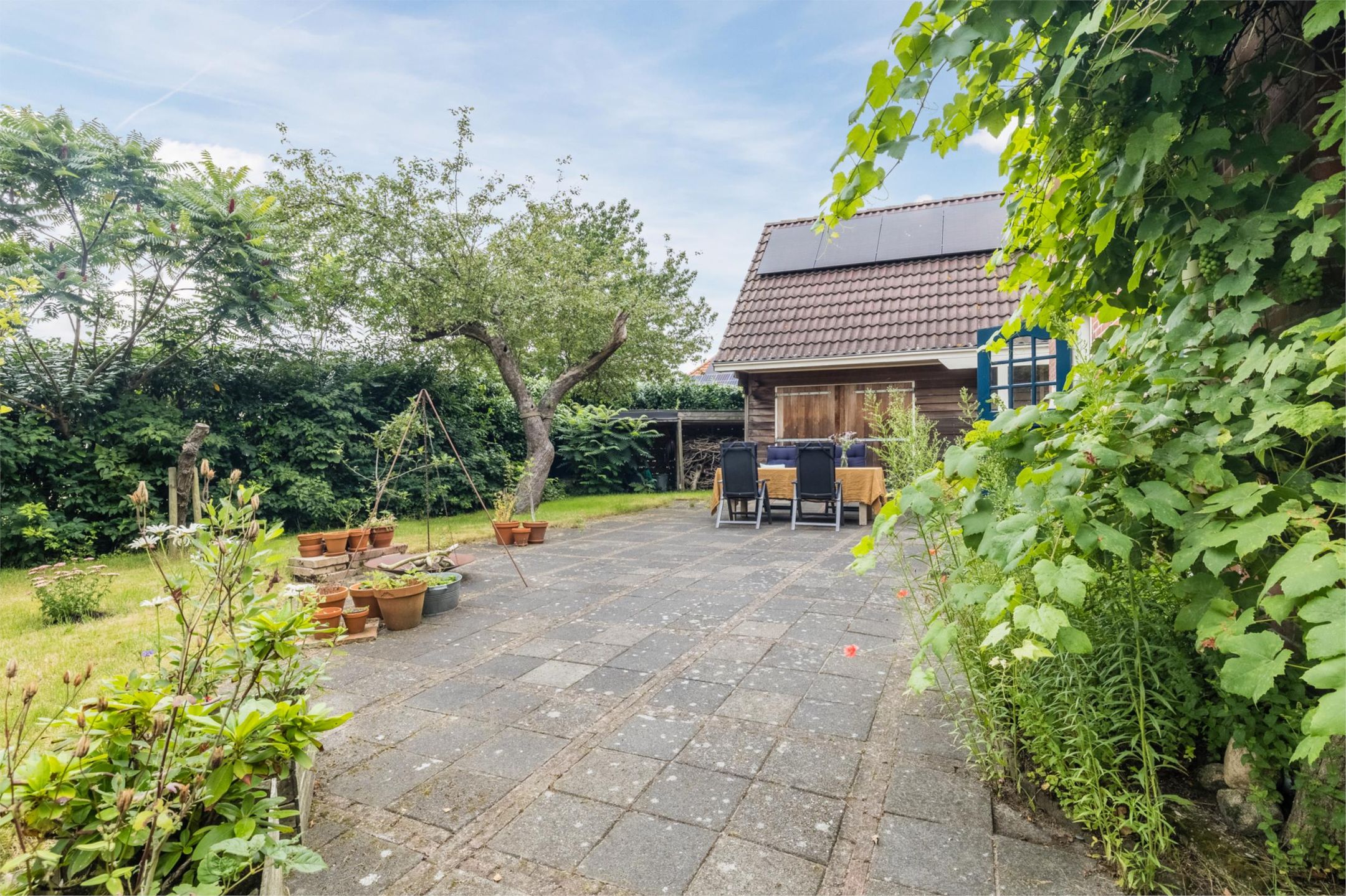 Photo 51 of Tolweg 54