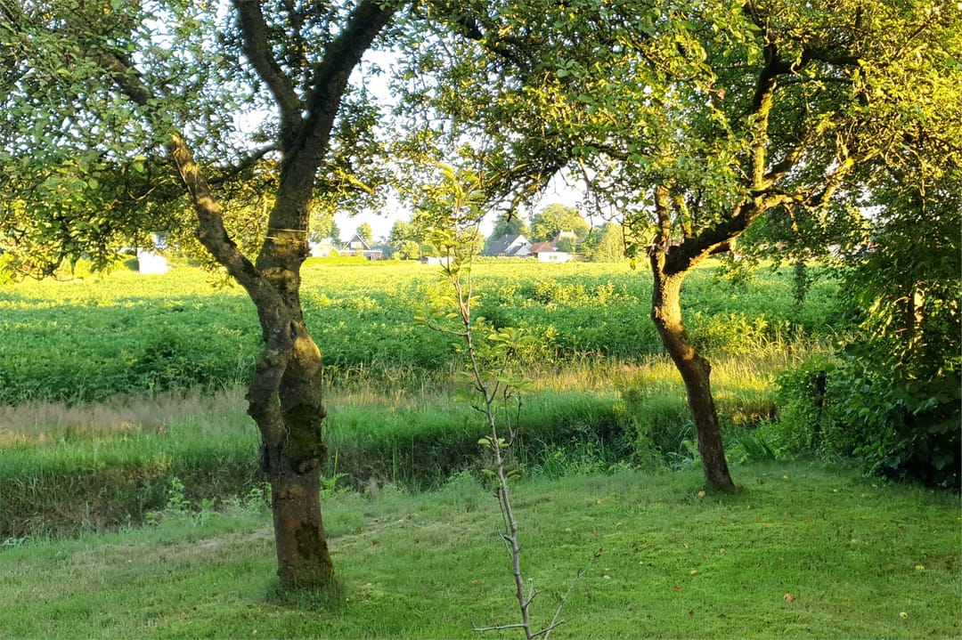 Photo 53 of Tolweg 54