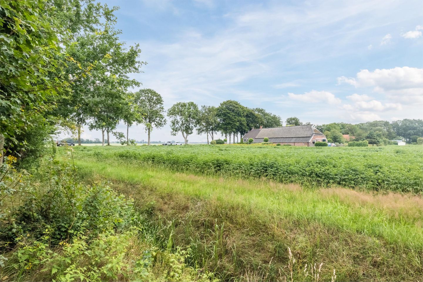 Photo 55 of Tolweg 54