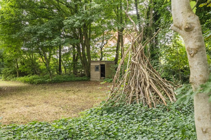 Photo 56 of Tolweg 54