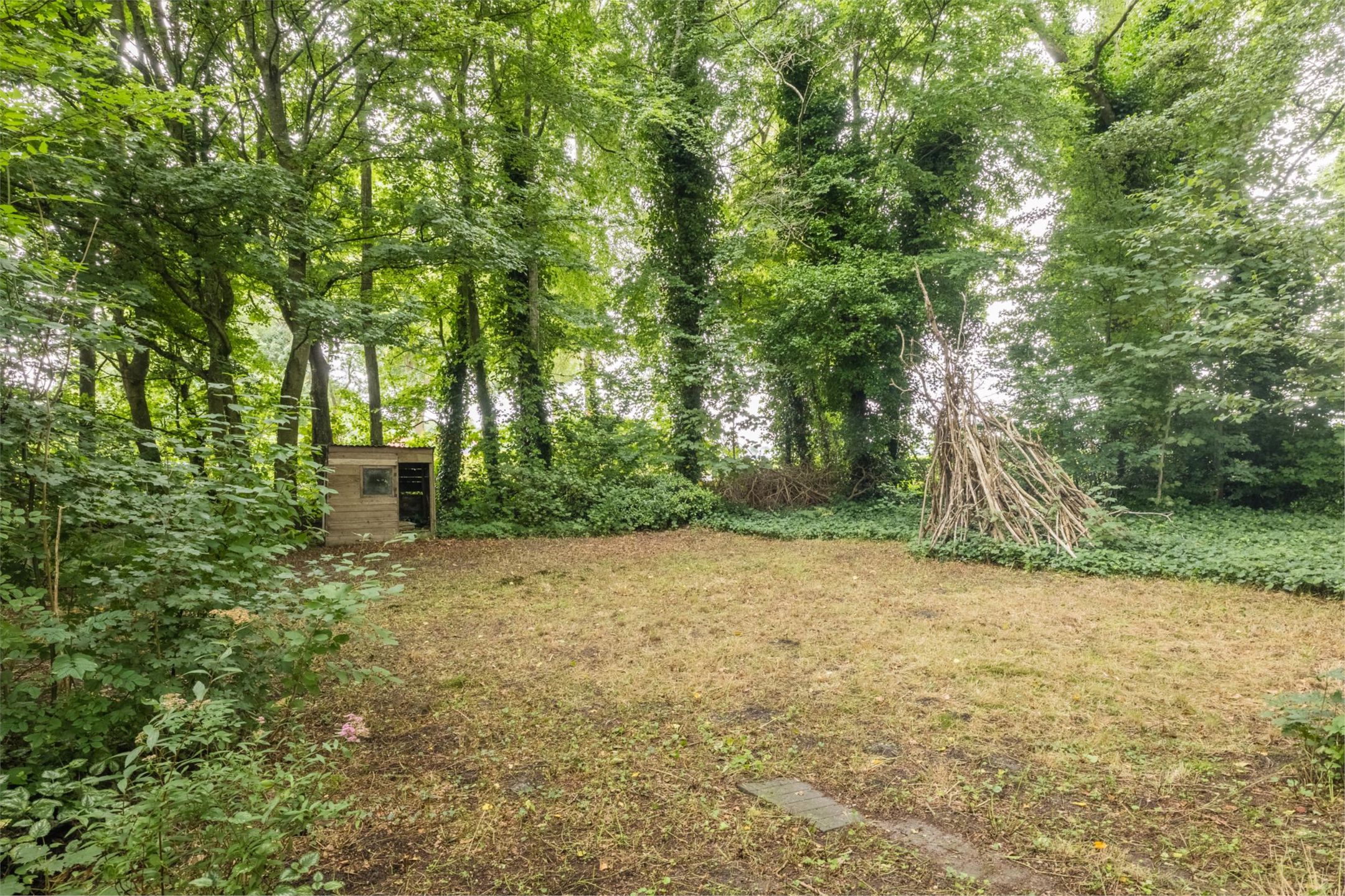 Photo 57 of Tolweg 54