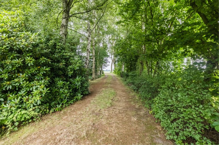 Photo 58 of Tolweg 54