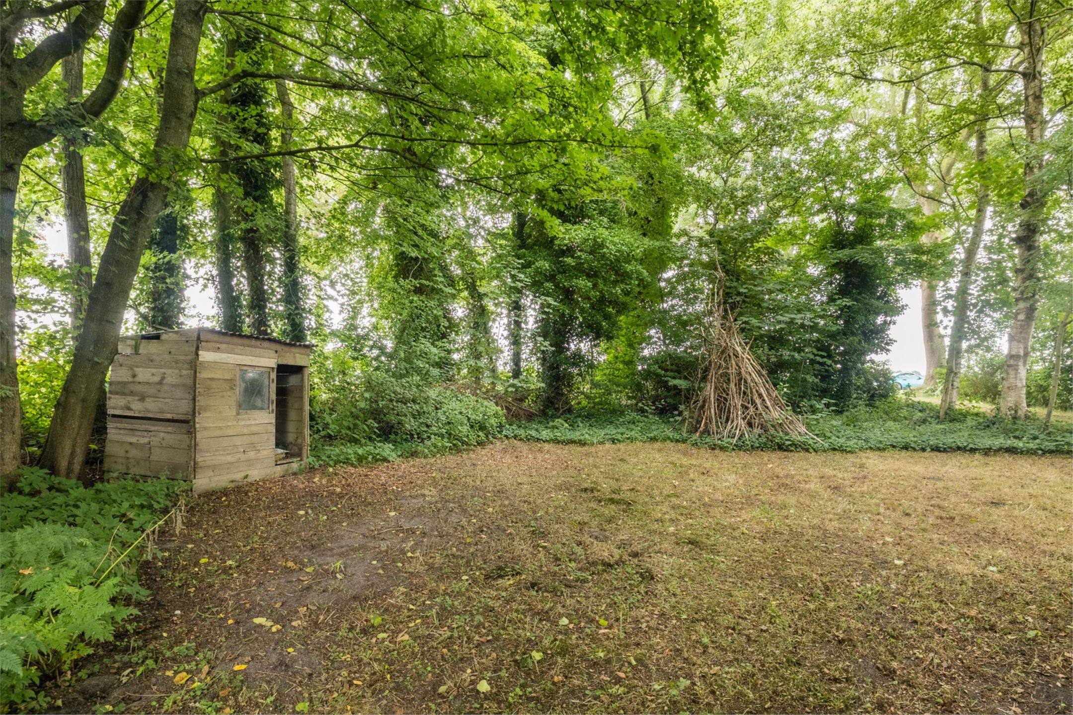 Photo 63 of Tolweg 54