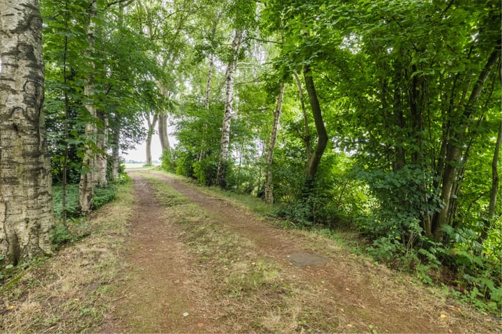 Photo 65 of Tolweg 54