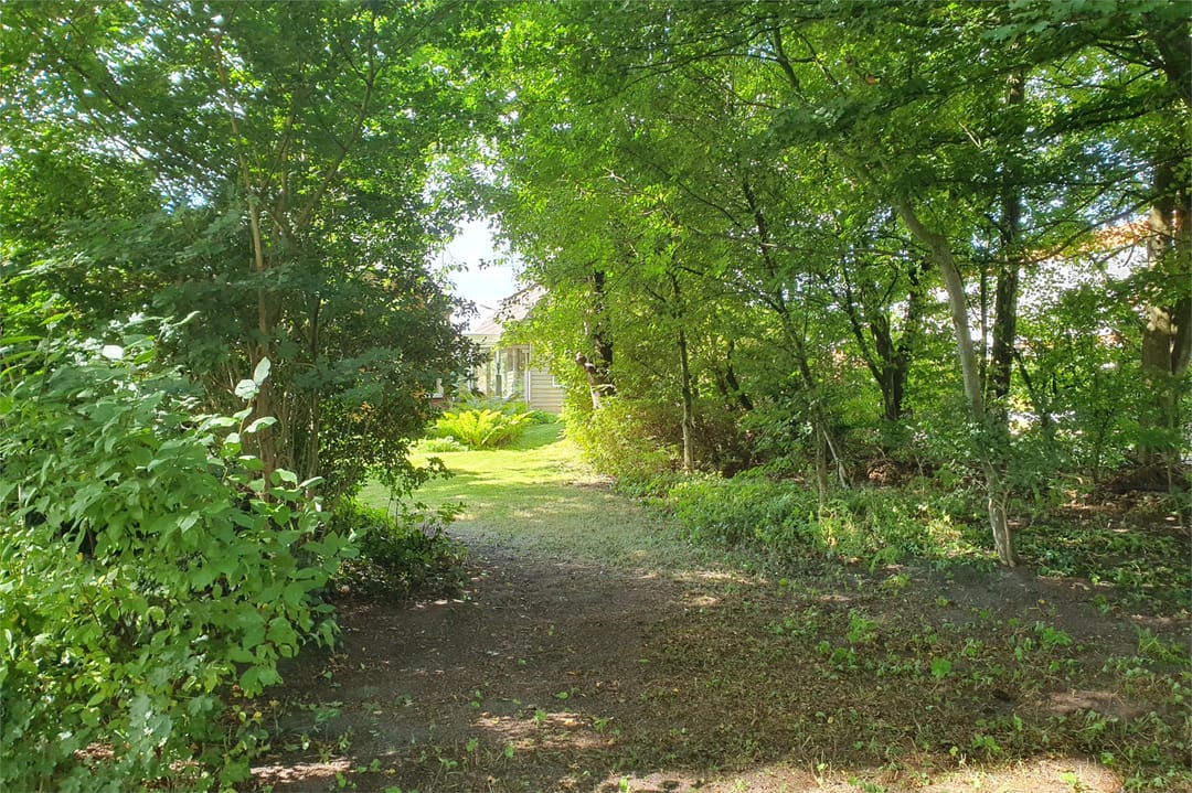 Photo 67 of Tolweg 54