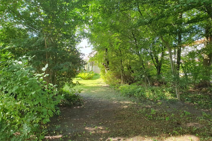 Photo 67 of Tolweg 54