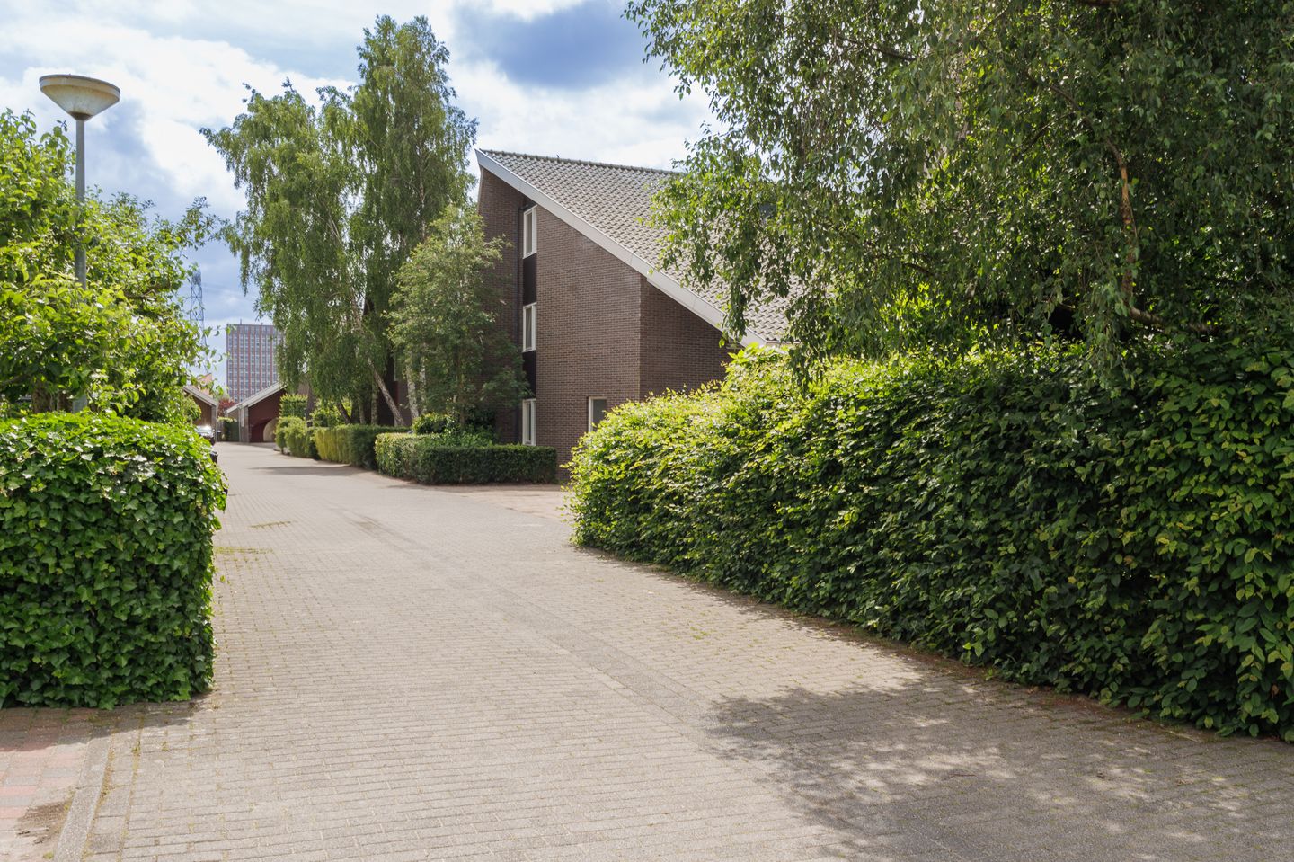 Foto 79 van Tjariet 56