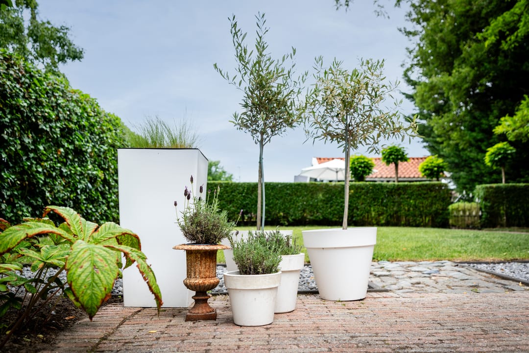 Foto 31 van Brugweg 7