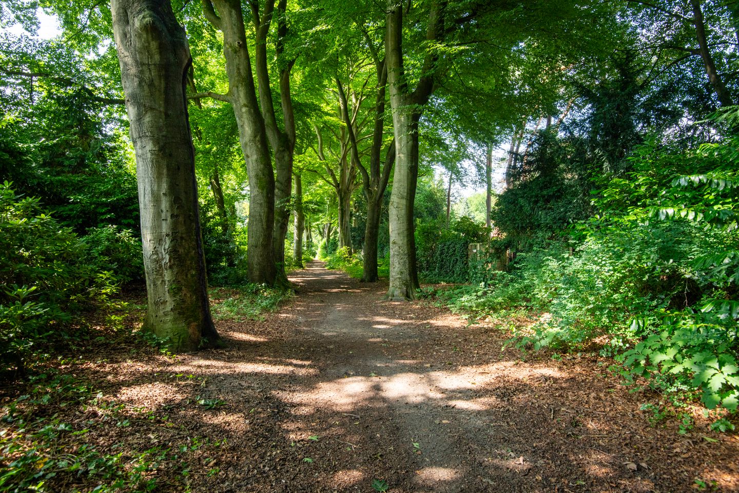 Foto 35 van Verlengde Slotlaan 92