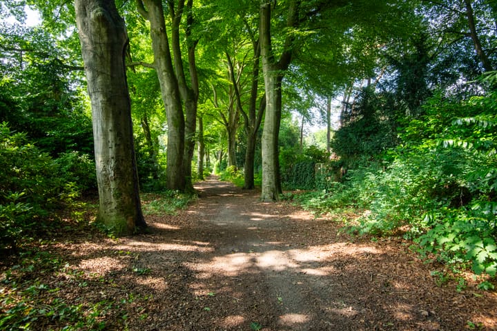 Photo 35 of Verlengde Slotlaan 92