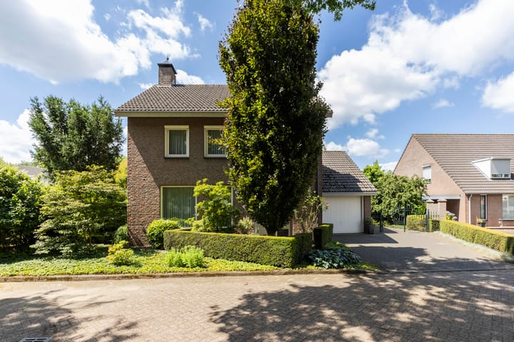 Photo 3 of Schutsboom 30