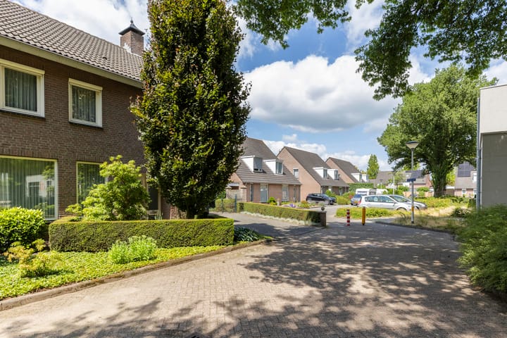 Photo 4 of Schutsboom 30