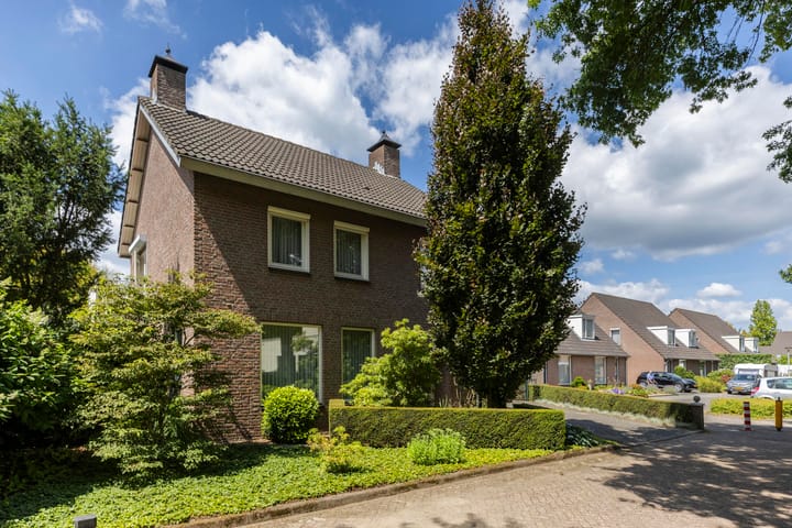 Photo 5 of Schutsboom 30