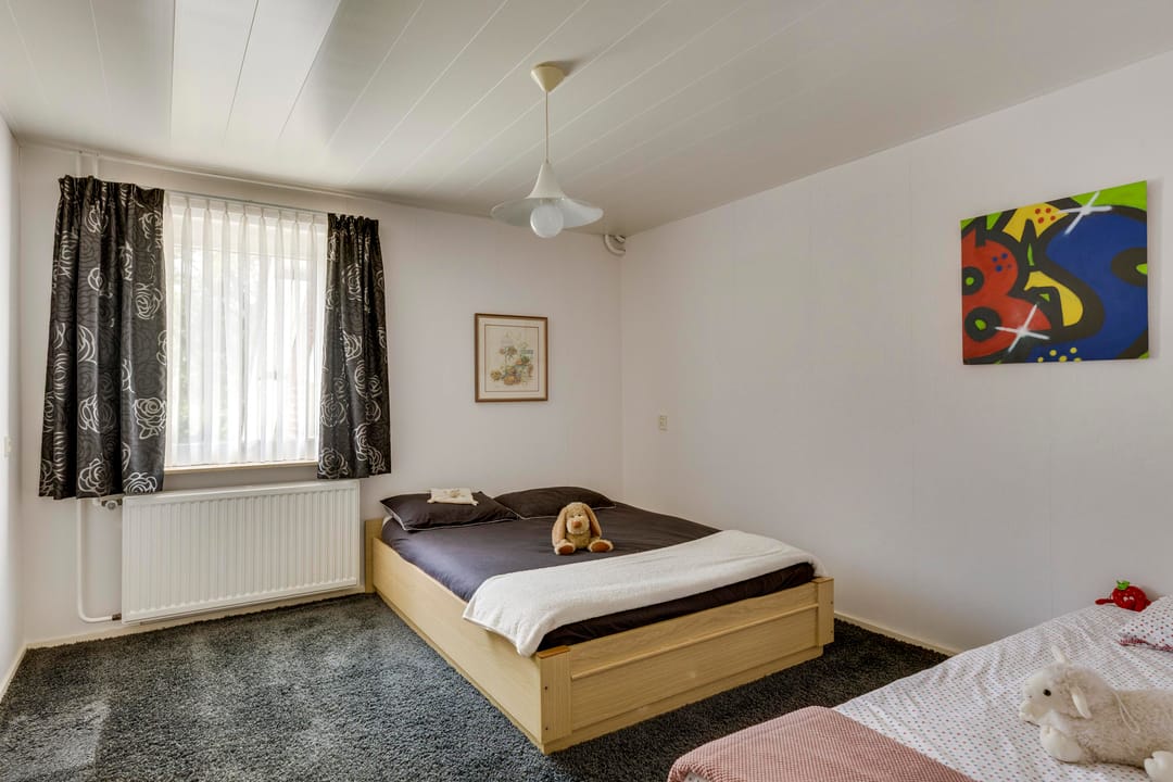 Foto 22 van Schutsboom 30