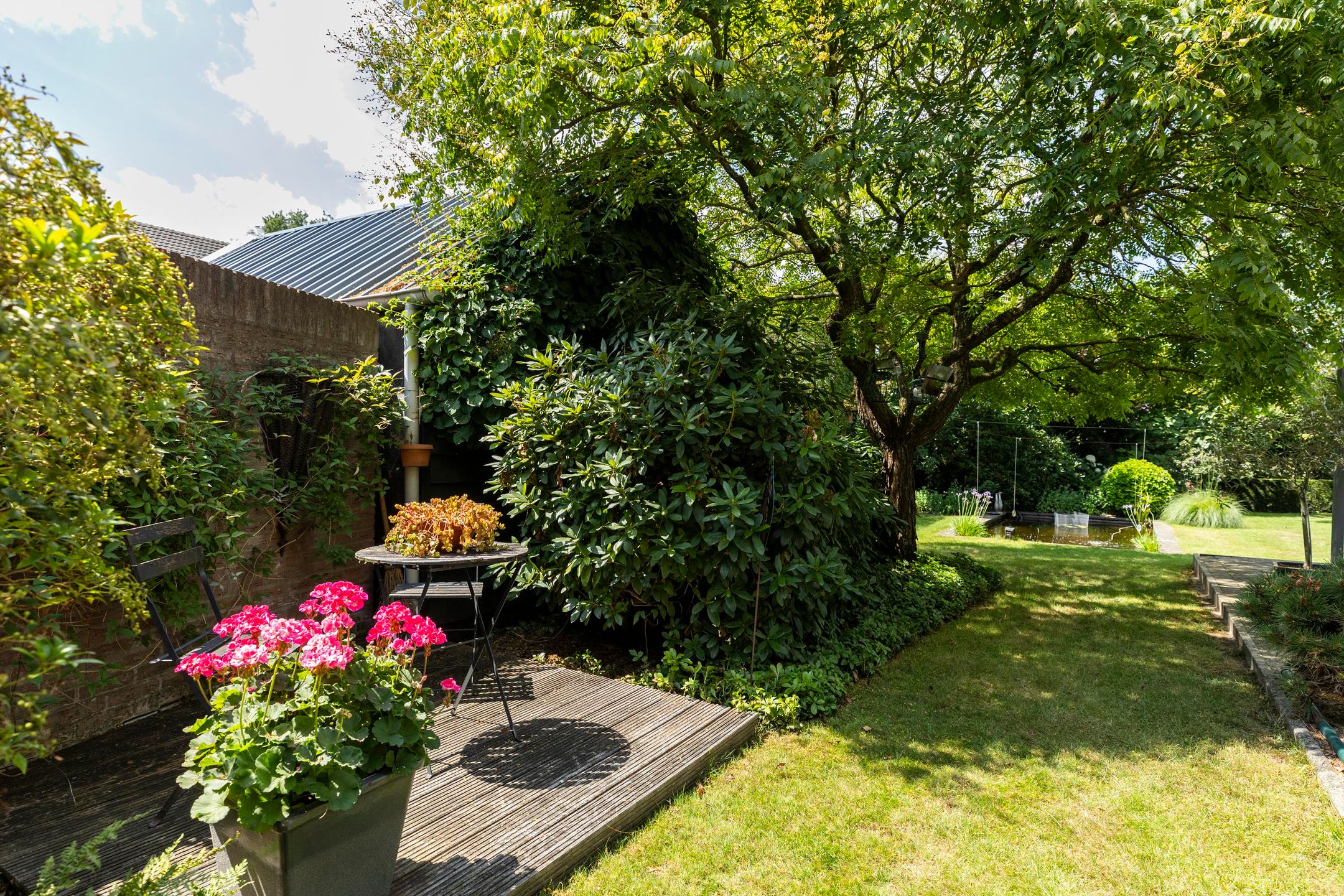 Foto 30 van Schutsboom 30