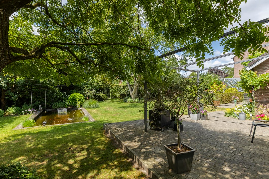 Foto 32 van Schutsboom 30