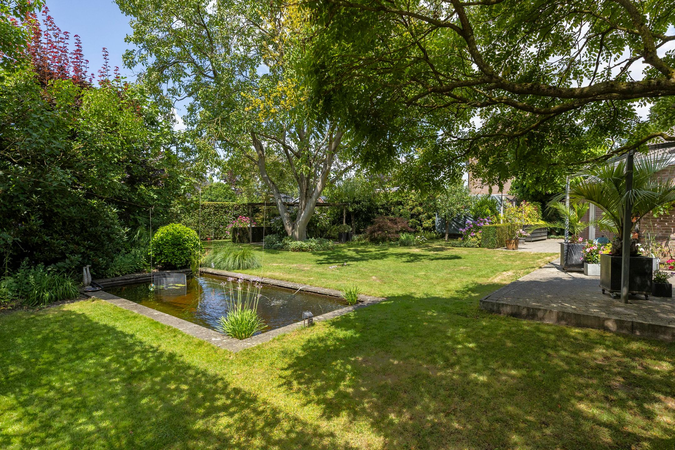 Foto 33 van Schutsboom 30