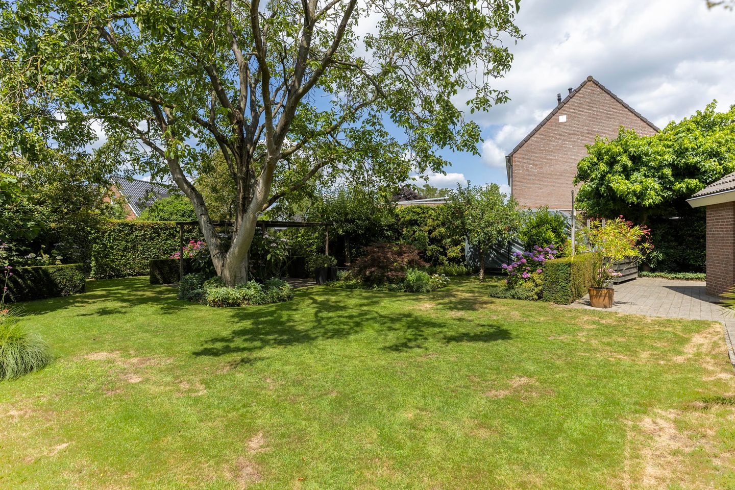 Foto 35 van Schutsboom 30