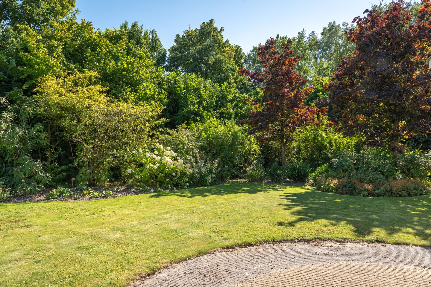 Foto 44 van Taeckemalaan 3