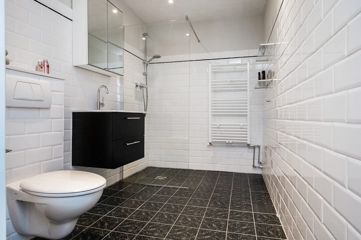 Foto 33 van Dovenetel 46