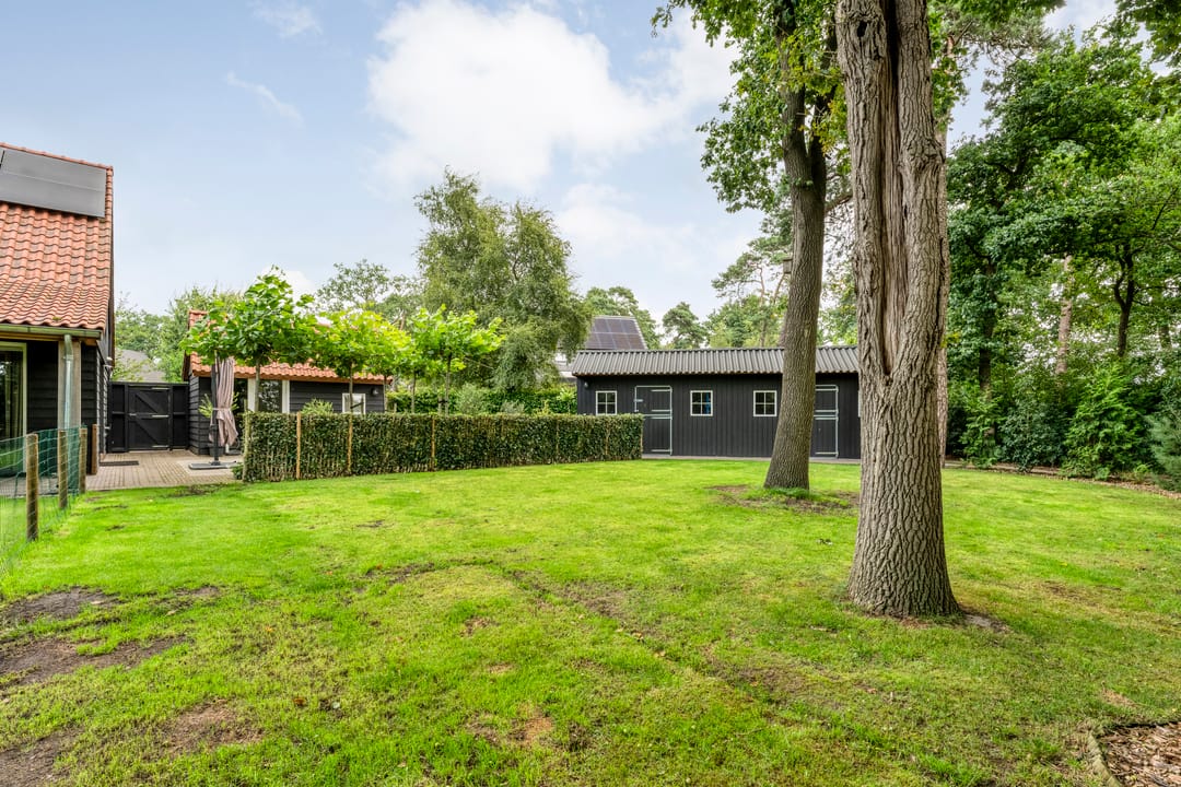 Foto 26 van Knooperf de Veldboer 5