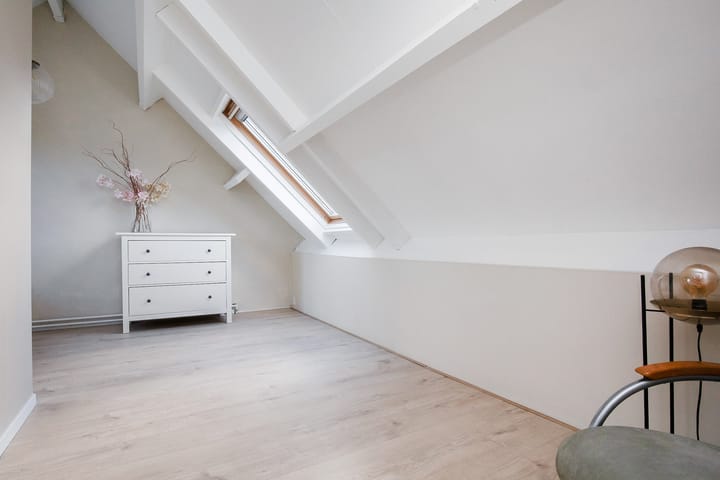 Foto 39 van Dovenetel 46