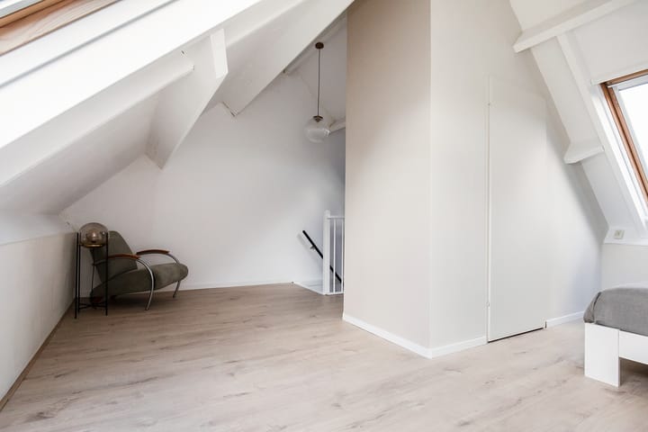 Foto 41 van Dovenetel 46