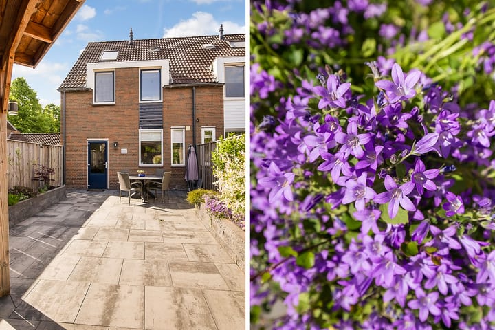 Foto 48 van Dovenetel 46