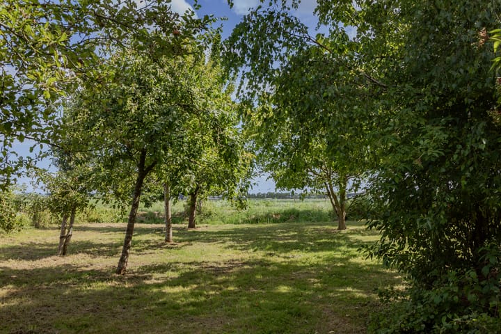 Photo 31 of Veldhuis 5