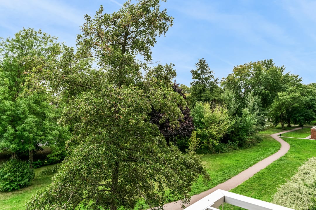 Foto 23 van Wenckebachplantsoen 49