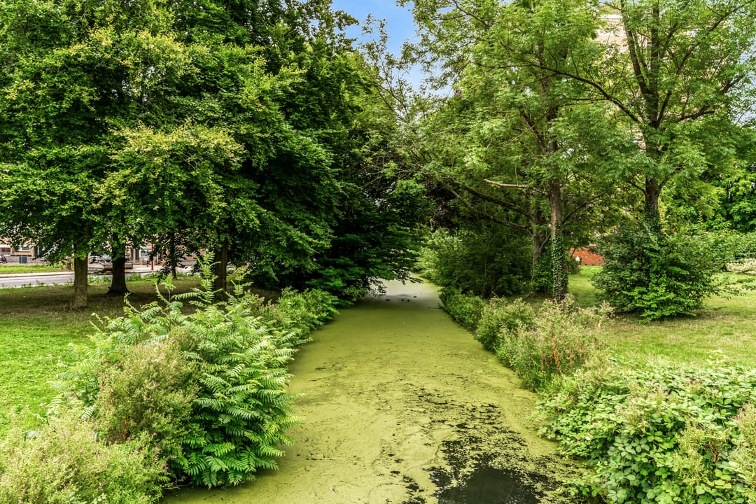 Foto 31 van Wenckebachplantsoen 49