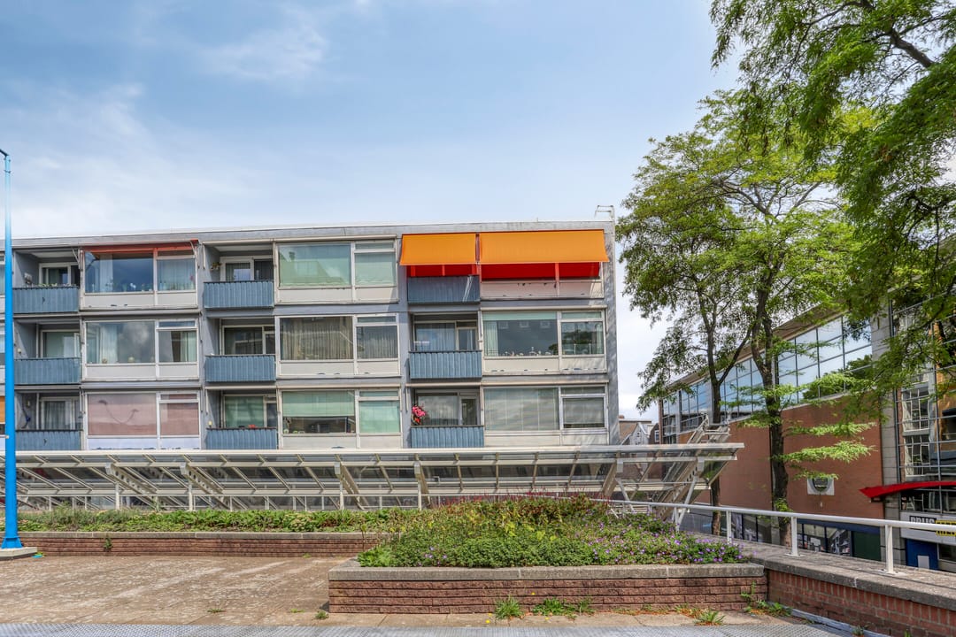 Foto 1 van Liesveld 50