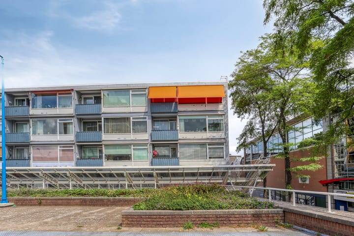 Liesveld 50 main image