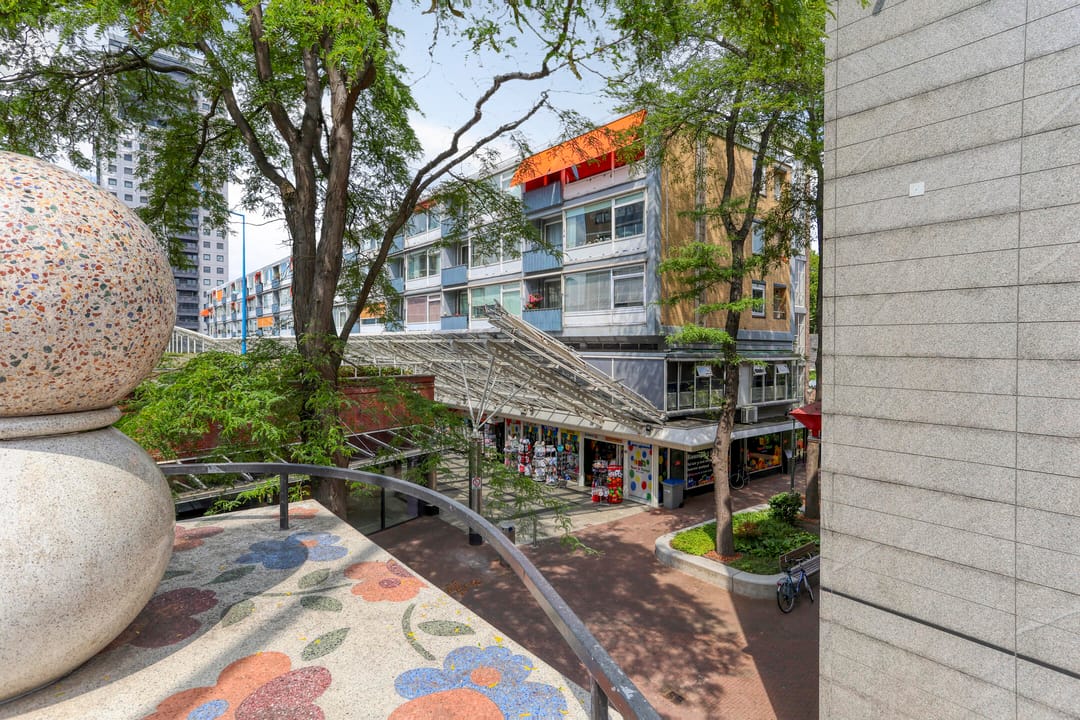 Foto 7 van Liesveld 50