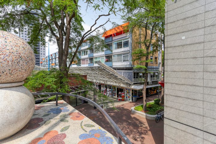 Foto 7 van Liesveld 50