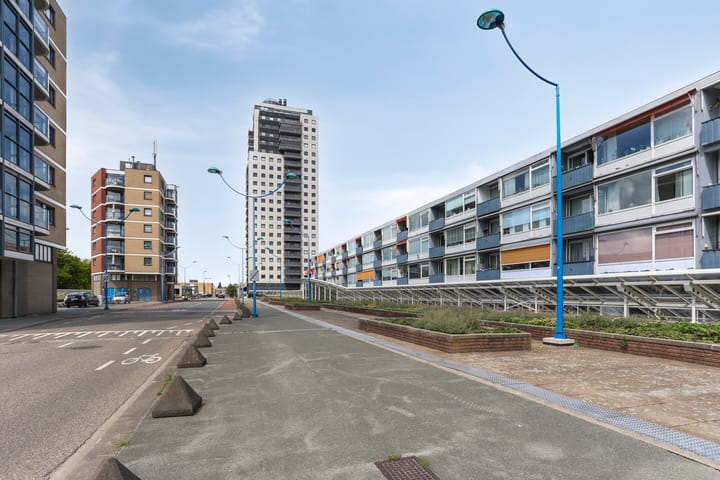 Foto 9 van Liesveld 50