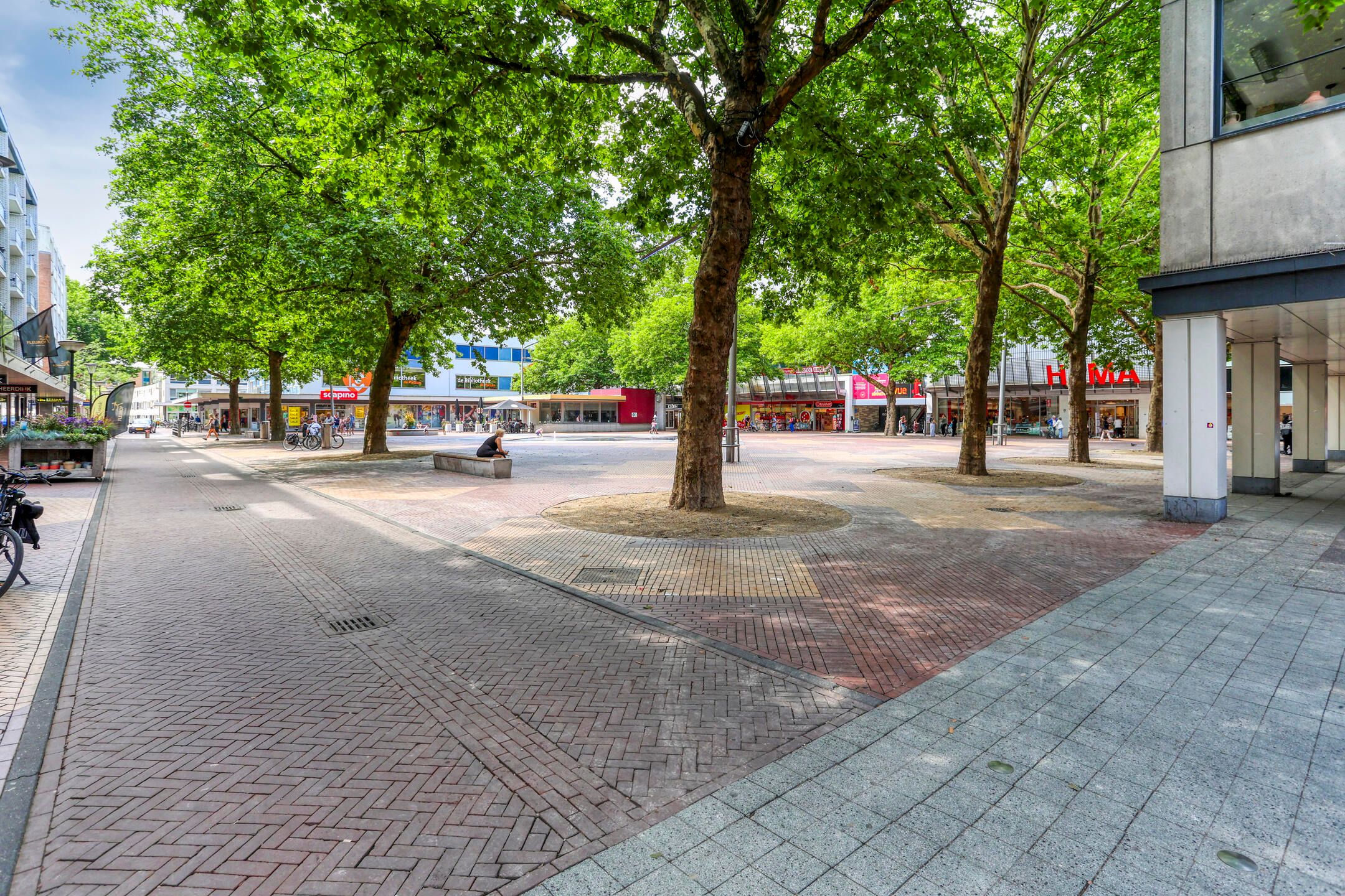 Foto 36 van Liesveld 50