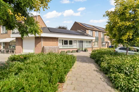 undefined main image