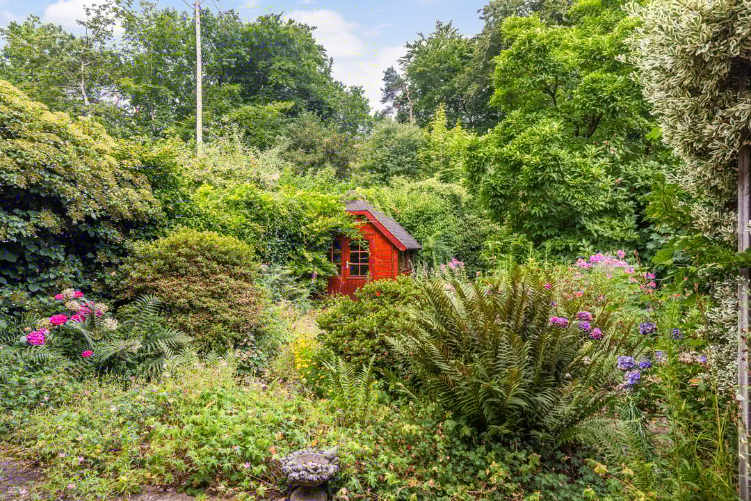 Foto 26 van Overboslaan 37