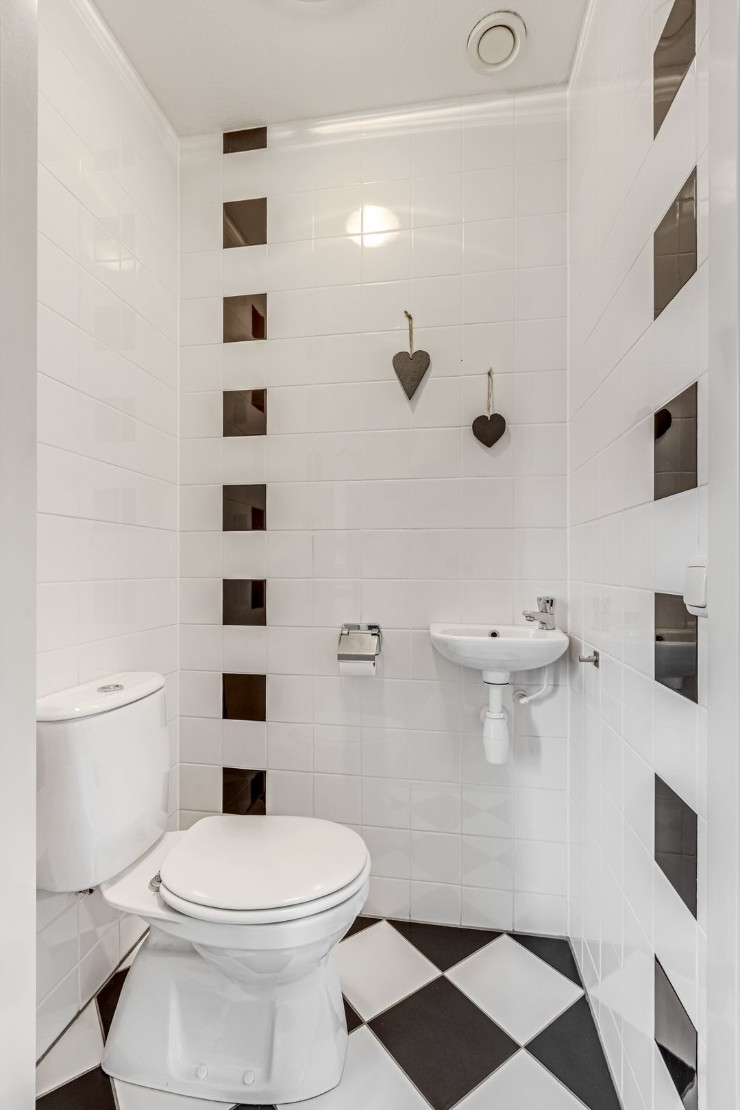 Foto 11 van Stekelbaars 11