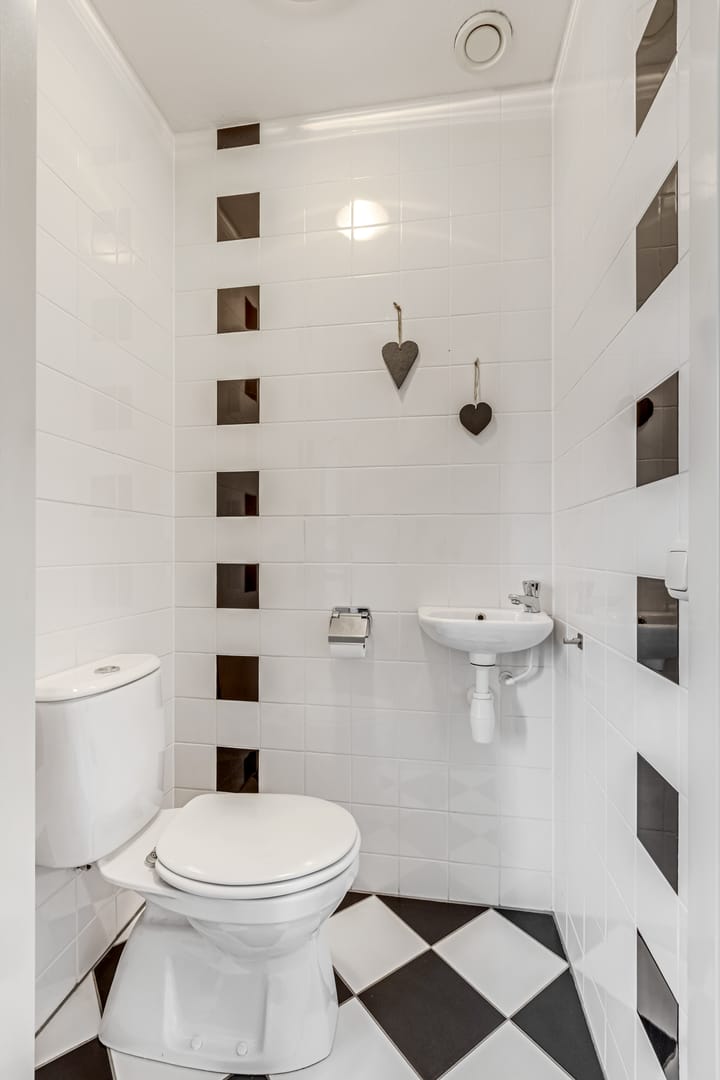 Foto 11 van Stekelbaars 11