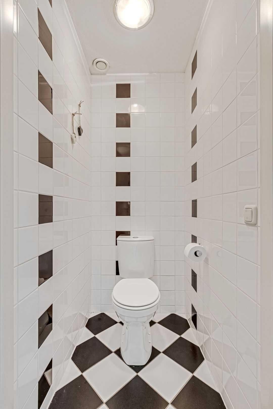 Foto 17 van Stekelbaars 11