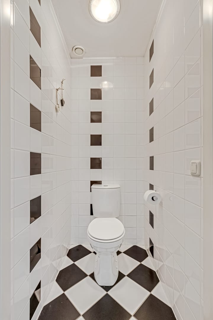 Foto 17 van Stekelbaars 11