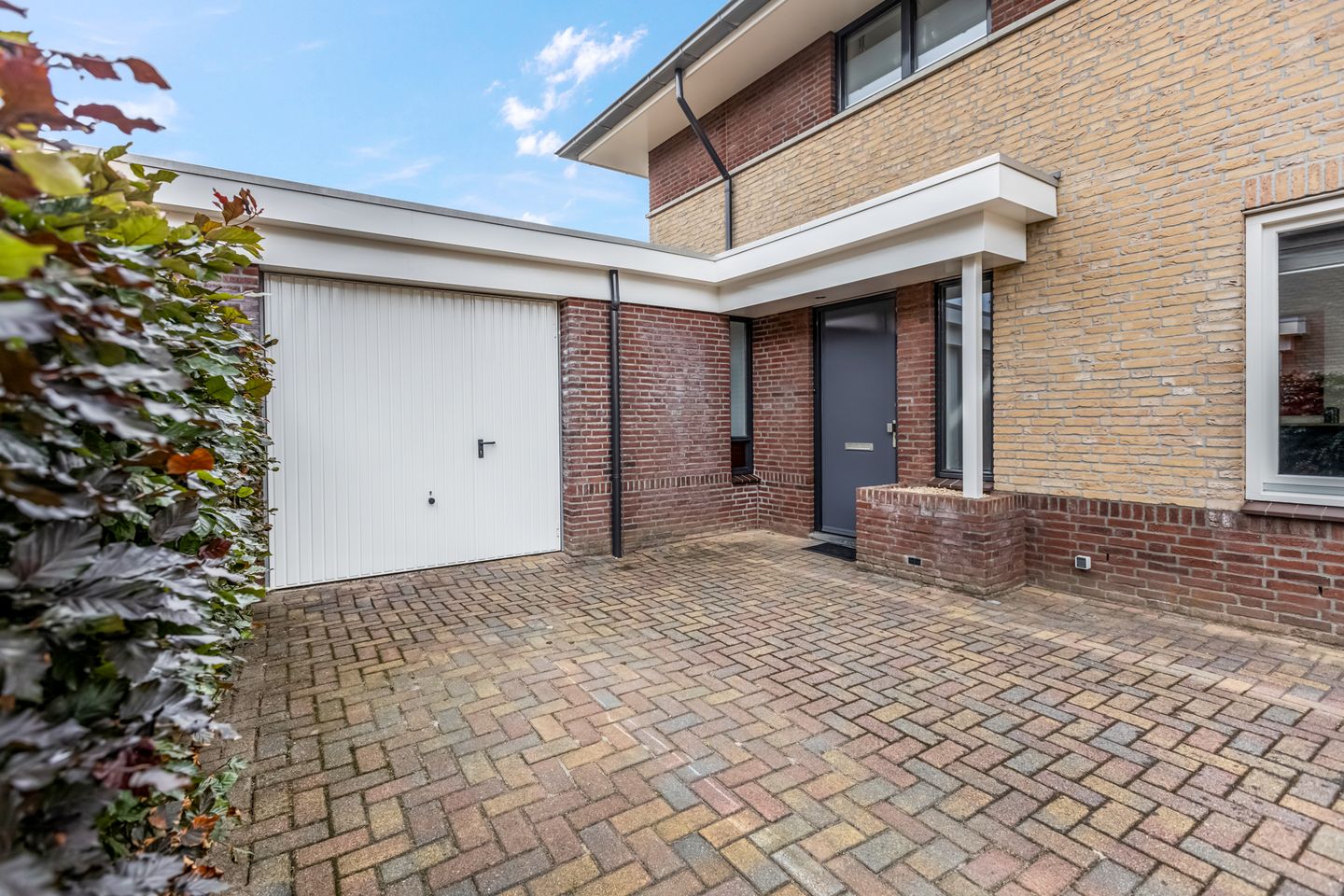 Foto 29 van Stekelbaars 11