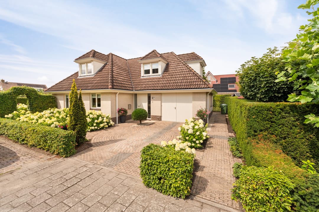 Foto 2 van Kreeft 18